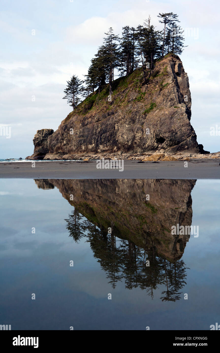 Seconda Spiaggia - La spinta, Washington, Stati Uniti d'America Foto Stock