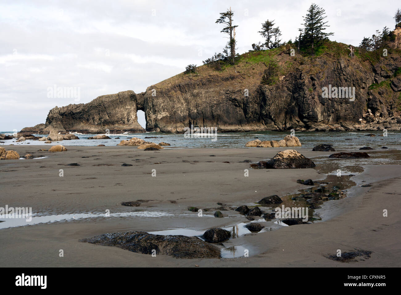 Seconda Spiaggia - La spinta, Washington, Stati Uniti d'America Foto Stock