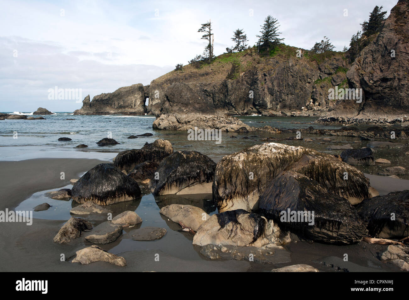 Seconda Spiaggia - La spinta, Washington, Stati Uniti d'America Foto Stock