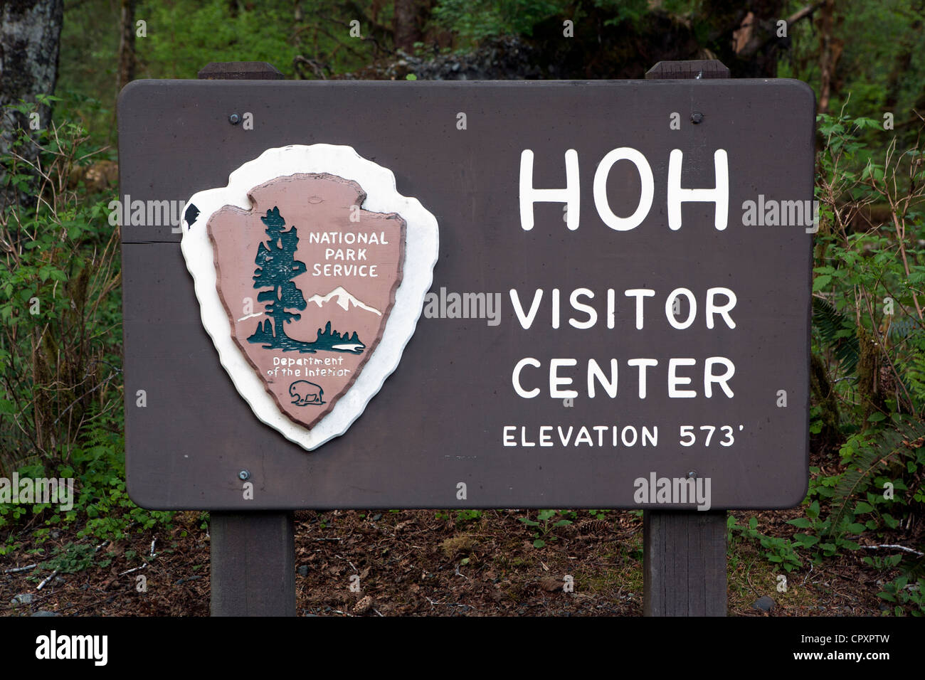 Hoh Rainforest segno - Parco nazionale di Olympic, vicino a forche, Washington, Stati Uniti d'America Foto Stock