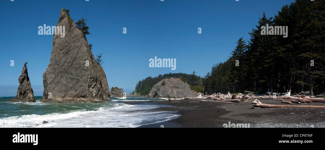 Spiaggia Rialto Panoramica immagine composita, nei pressi di La Push, Stati Uniti di Washington Foto Stock