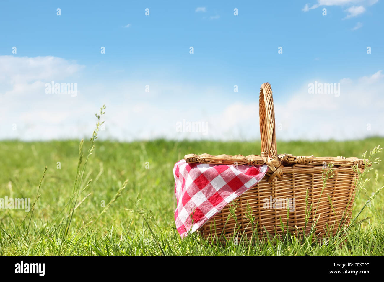 Picnic esterno alla giornata di sole Foto Stock