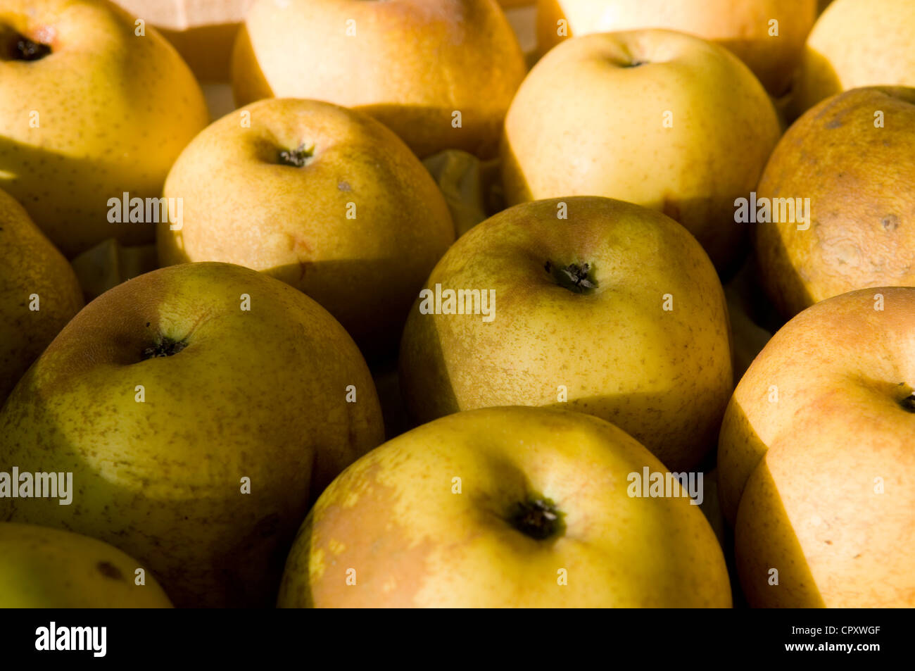 Francia, Gard, Reinettes mele di Vigan Foto Stock