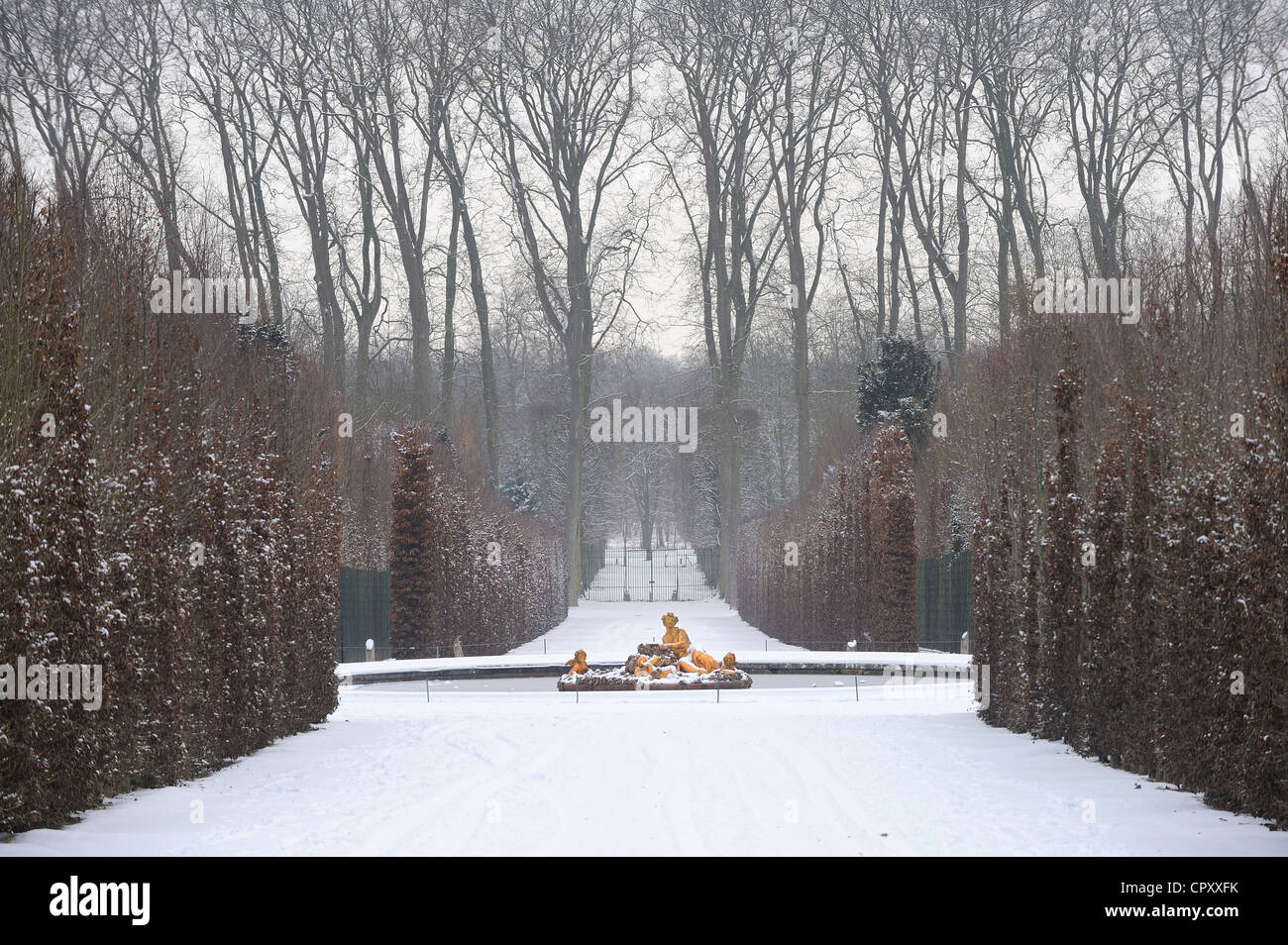 Francia Yvelines coperta di neve parco di Chateau de Versailles elencati come patrimonio mondiale dall UNESCO Bacino Flora chiamato anche la molla Foto Stock