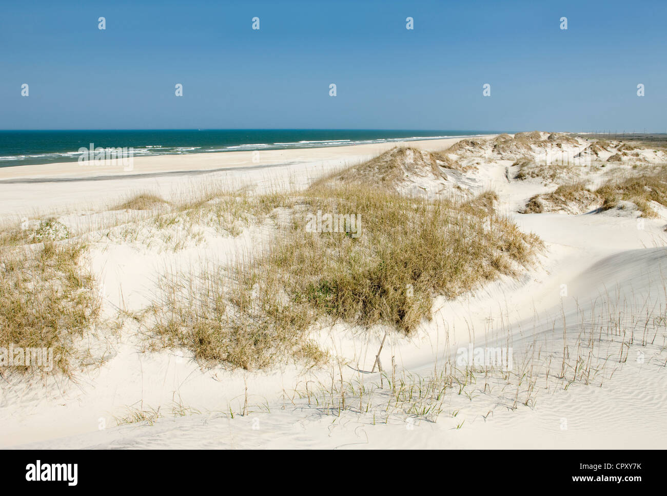 Barriera di dune di sabbia e spiaggia PEA Island National Wildlife Refuge Cape Hatteras National Seashore Outer Banks North Carolina USA Foto Stock