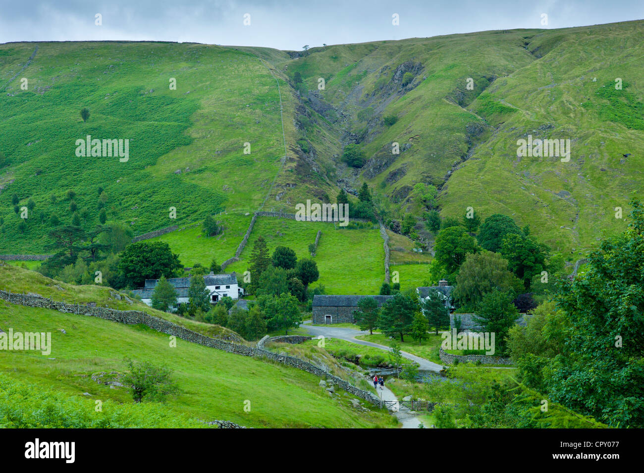 Lakeland scenario vicino a Watendlath nel Parco Nazionale del Distretto dei Laghi, Cumbria, Regno Unito Foto Stock