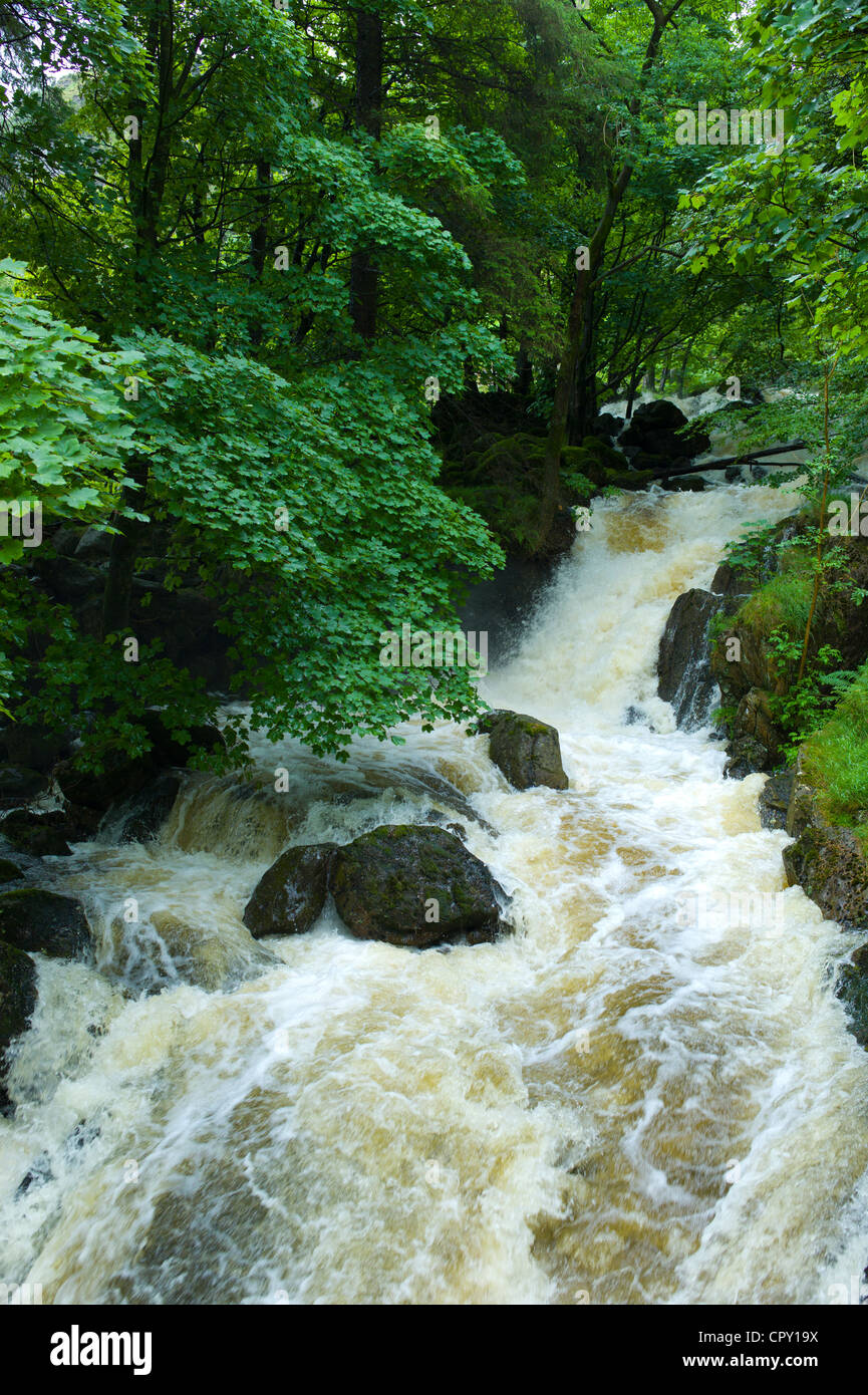 Launchy Gill cascata da Thirlmere nel Parco Nazionale del Distretto dei Laghi, Cumbria, Regno Unito Foto Stock