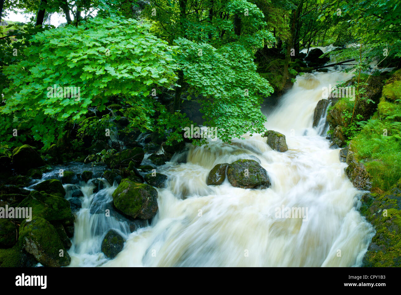 Launchy Gill cascata da Thirlmere nel Parco Nazionale del Distretto dei Laghi, Cumbria, Regno Unito Foto Stock