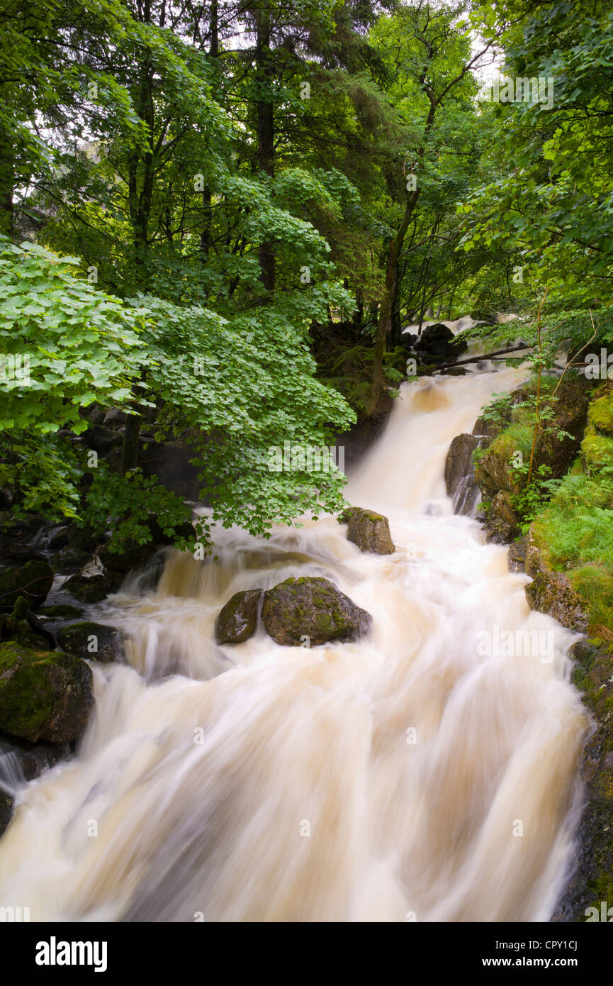 Launchy Gill cascata da Thirlmere nel Parco Nazionale del Distretto dei Laghi, Cumbria, Regno Unito Foto Stock