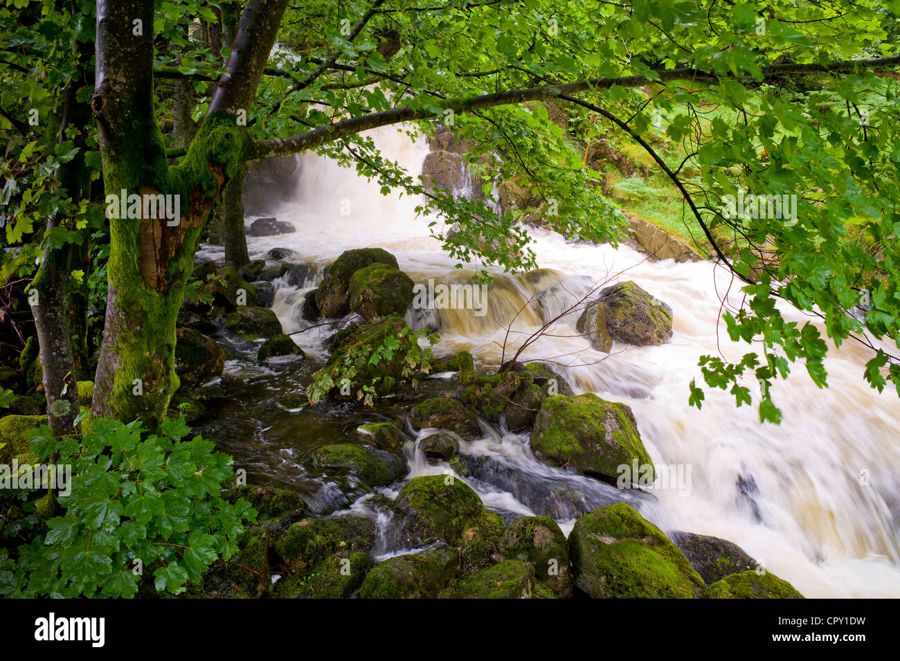 Launchy Gill cascata da Thirlmere nel Parco Nazionale del Distretto dei Laghi, Cumbria, Regno Unito Foto Stock