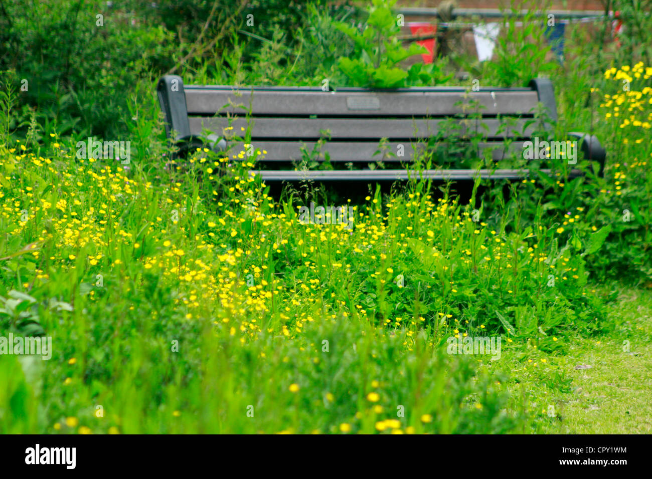 Panca in legno nel bosco Foto Stock