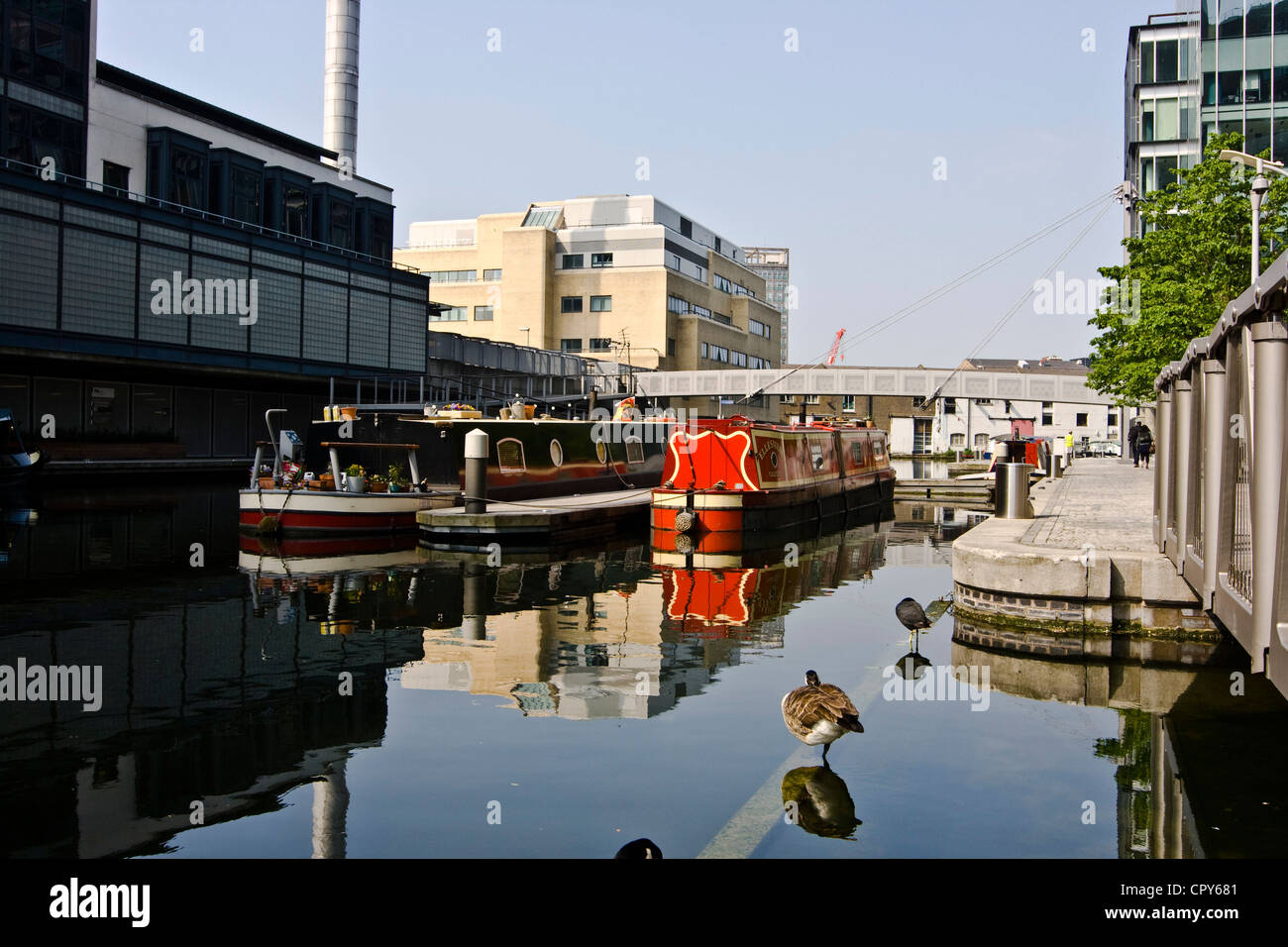 Le chiatte e le oche sul Regent's Canal a Paddington Basin Londra Inghilterra Europa Foto Stock