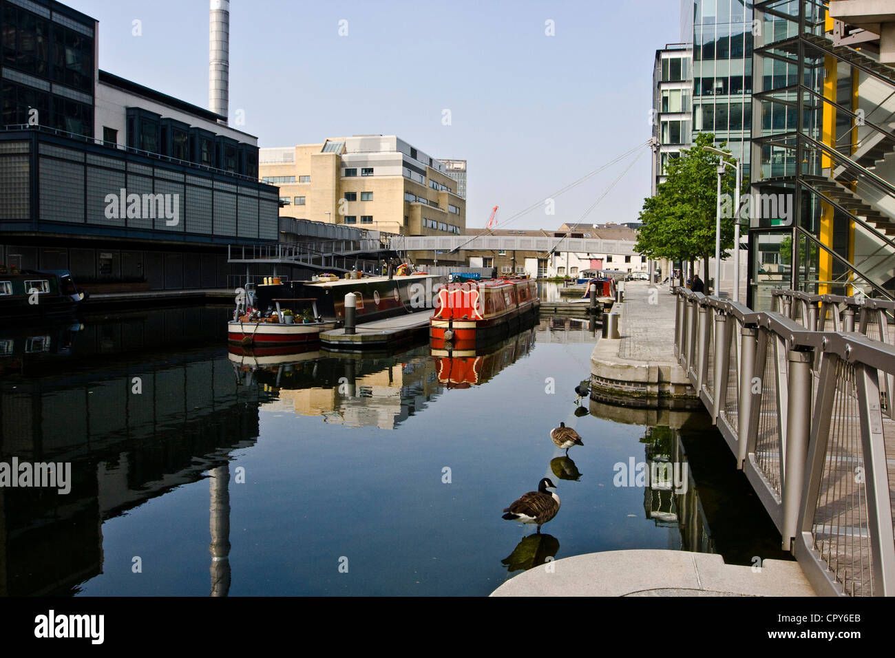 Le chiatte e le oche sul Regent's Canal a Paddington Basin Londra Inghilterra Europa Foto Stock