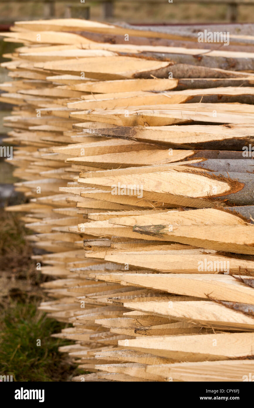 Estremità appuntite dei picchetti di scherma Foto Stock