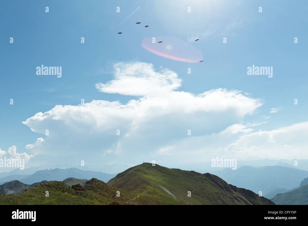 Stormo di uccelli circa Sommet de Pique Poque nei pressi del Monte Cagire, Midi-Pirenei, Francia. Foto Stock
