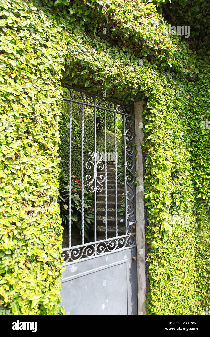 Un cancello di ferro o la porta a una coperta di edera Villa italiana Foto Stock