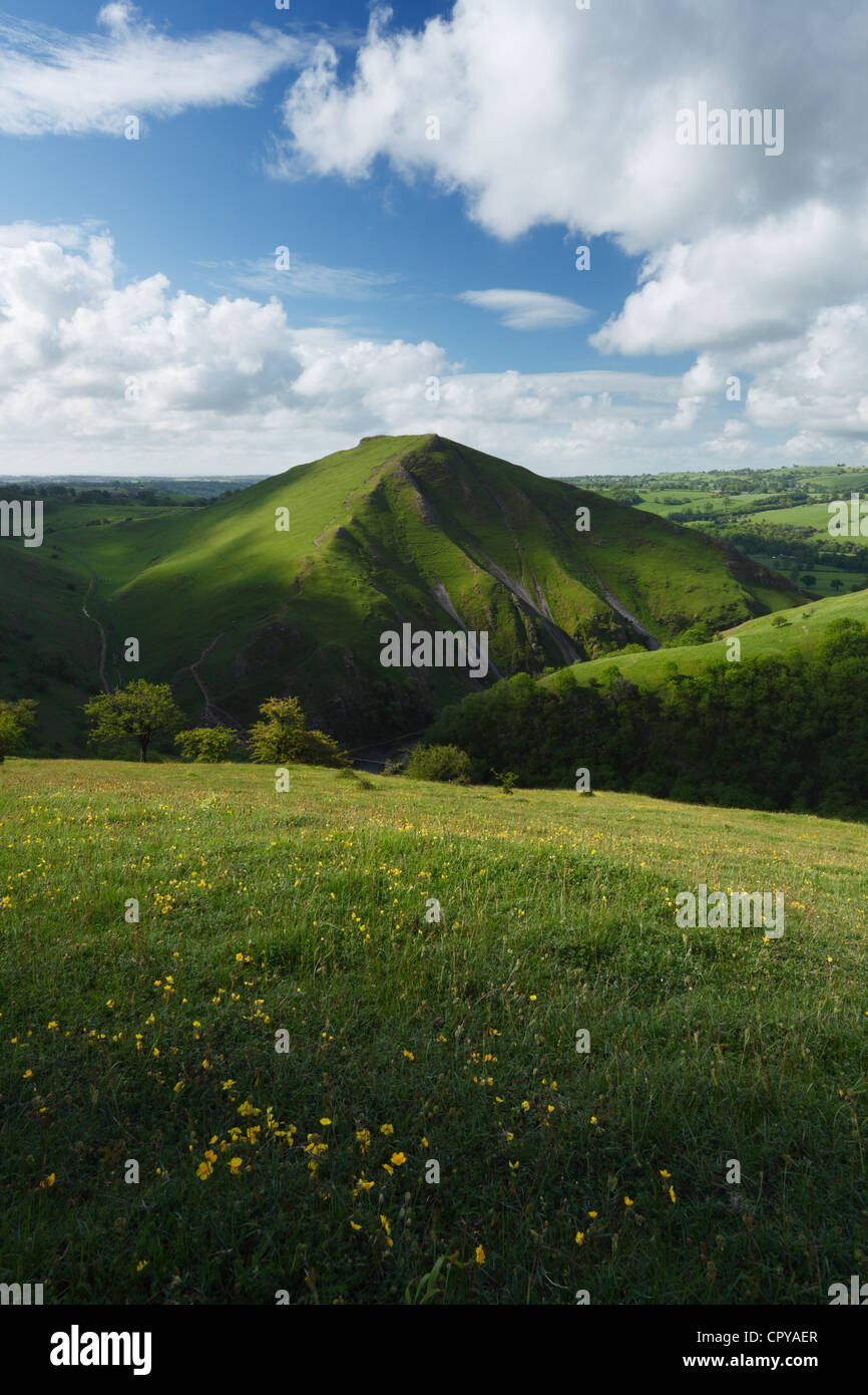 Vista in direzione di Thorpe Cloud in Dovedale. Parco Nazionale di Peak District. Derbyshire. In Inghilterra. Regno Unito. Foto Stock