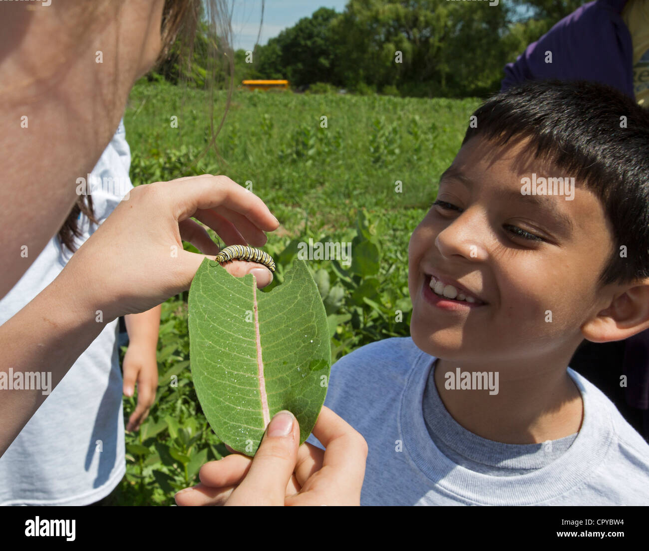 Gli studenti provenienti da un Detroit scuola elementare di esaminare un monarca caterpillar hanno trovato su un impianto milkweed. Foto Stock