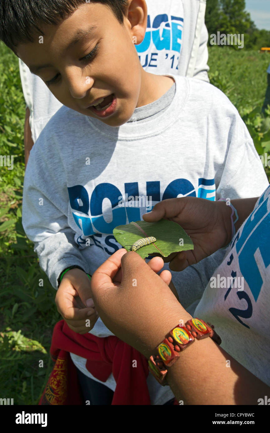 Gli studenti provenienti da un Detroit scuola elementare di esaminare un monarca caterpillar hanno trovato su un impianto milkweed. Foto Stock