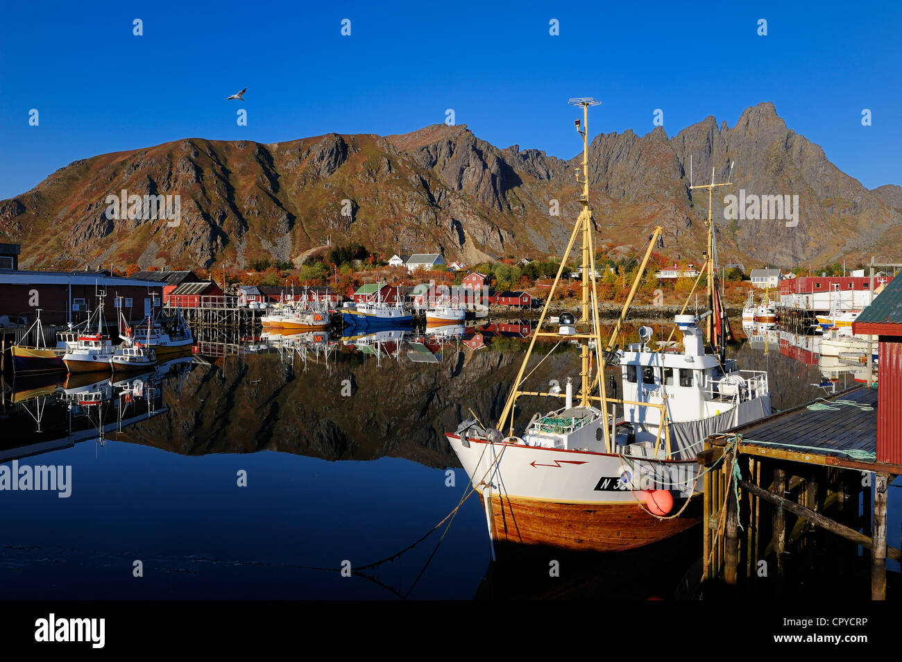 Norvegia, Nordland County, Isole Lofoten, Isola Vestvagoy, Ballstad porto di pesca Foto Stock