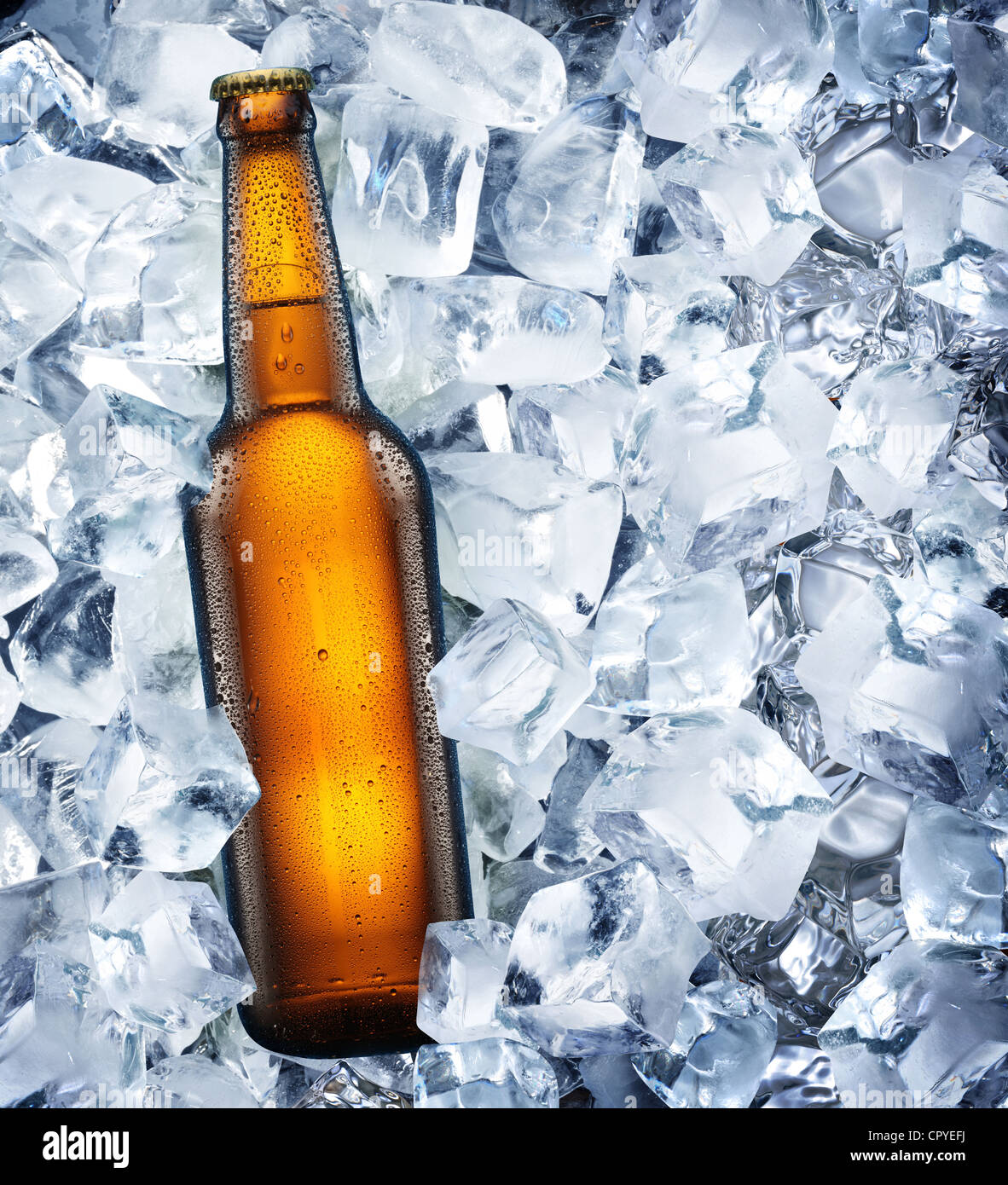 Bottiglia di birra è in ghiaccio Foto Stock