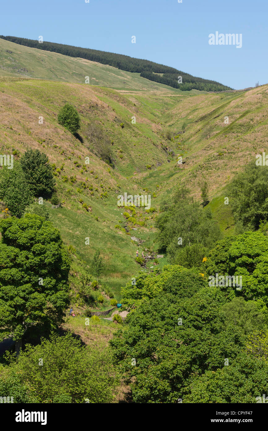 Green inizio estate paesaggio di Dollar Glen sopra Castle Campbell, con la masterizzazione del flusso di cura Foto Stock