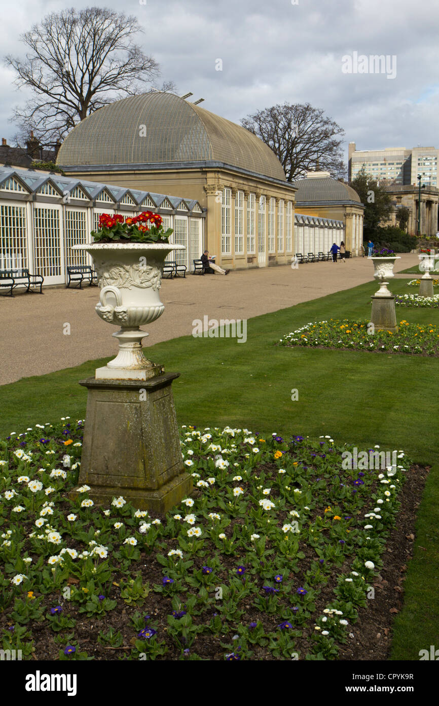 Sheffield Botanical Garden contiene collezioni di piante provenienti da tutto il mondo,South Yorkshire Inghilterra Foto Stock