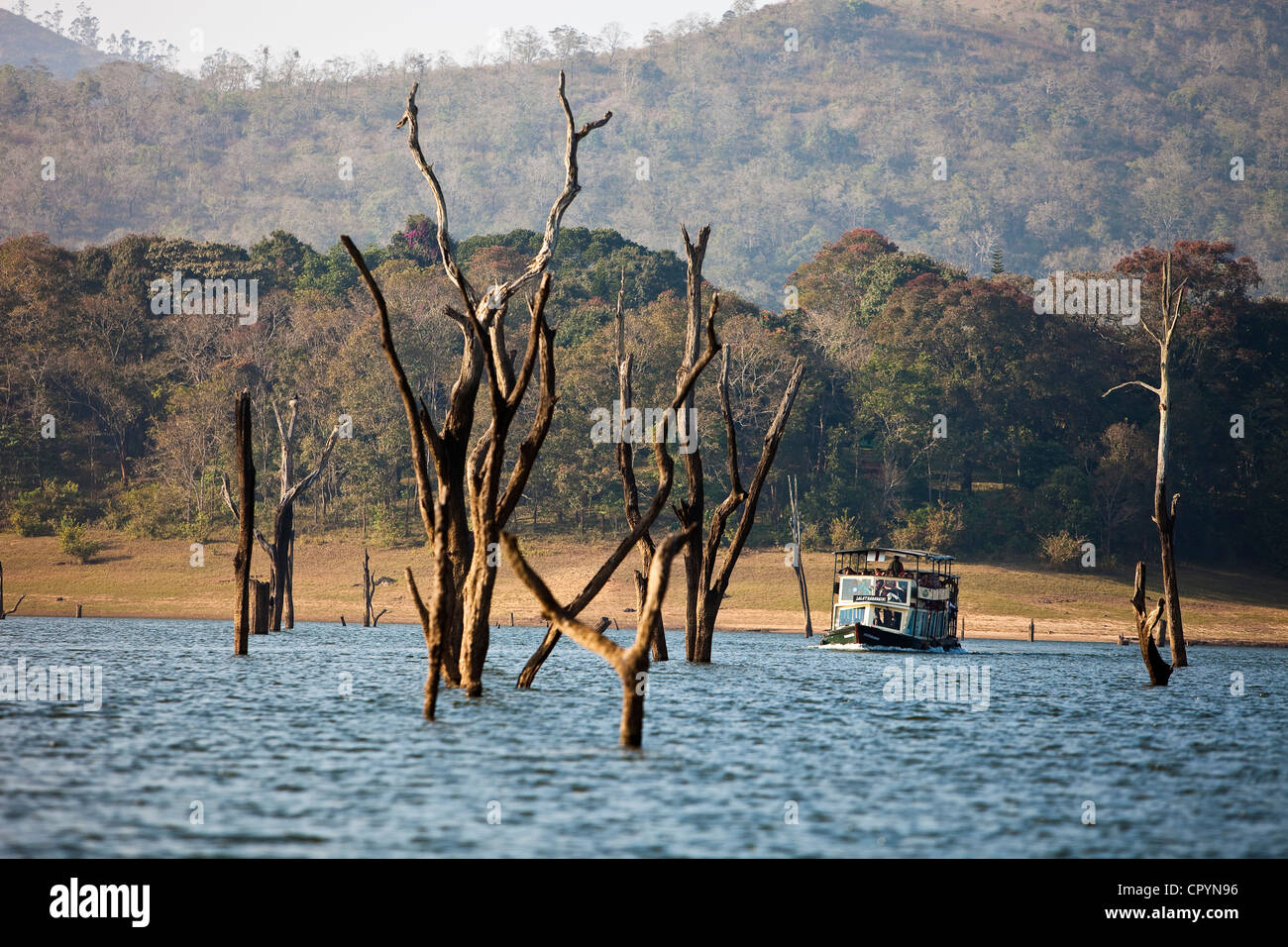 India Kerala State, Perriyar, gita in barca sul lago di scoprire la fauna Foto Stock