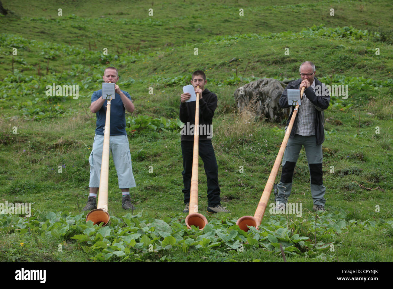 Avvisatore acustico soffianti nelle Alpi francesi, Doran, Alta Savoia, Francia, Europa Foto Stock