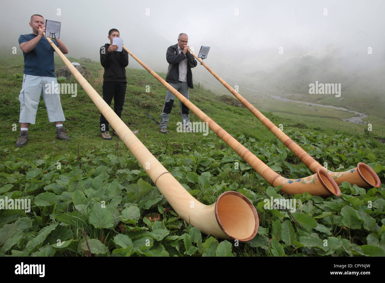 Avvisatore acustico soffianti nelle Alpi francesi, Doran, Alta Savoia, Francia, Europa Foto Stock