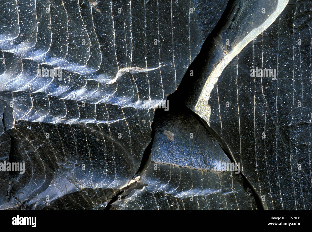 Ossidiana vetro vulcanico, Landmannalaugar regione, Fjallabak, Islanda, Europa Foto Stock