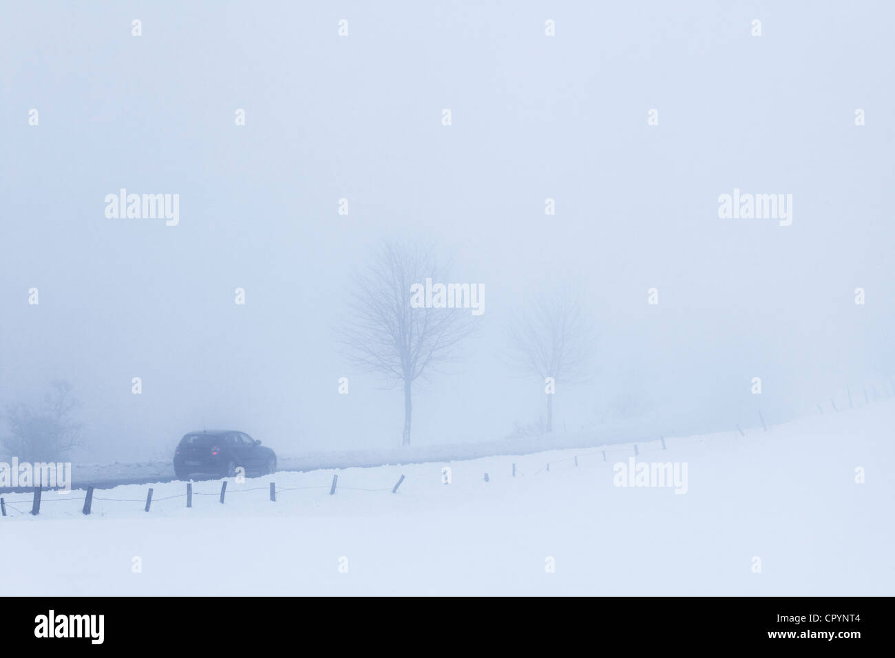Auto in una coperta di neve paesaggio invernale, nella nebbia, Belmicke, Bergneustadt, Oberbergischer Kreis, Renania settentrionale-Vestfalia Foto Stock