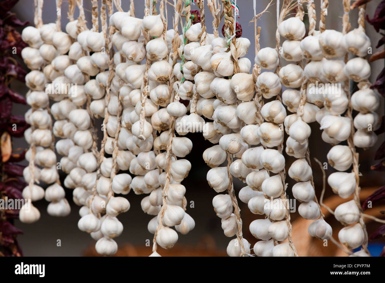 Aglio su un mercato in stallo, il lago di Neusiedl, Ungheria, Europa Foto Stock