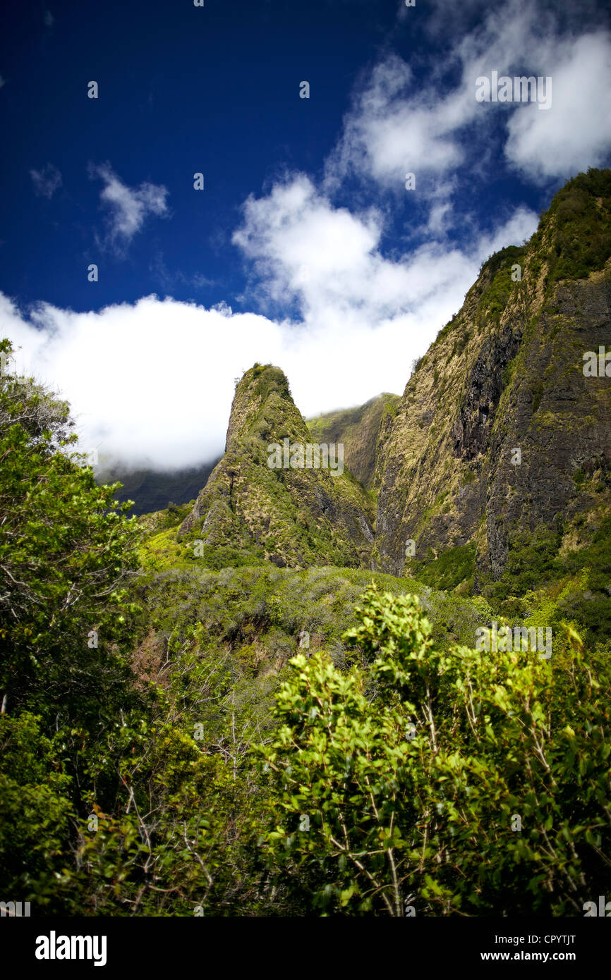 Iao ago, Iao Valley, Iao Valley State monumento, montagne di West Maui, Maui, Hawaii, STATI UNITI D'AMERICA Foto Stock