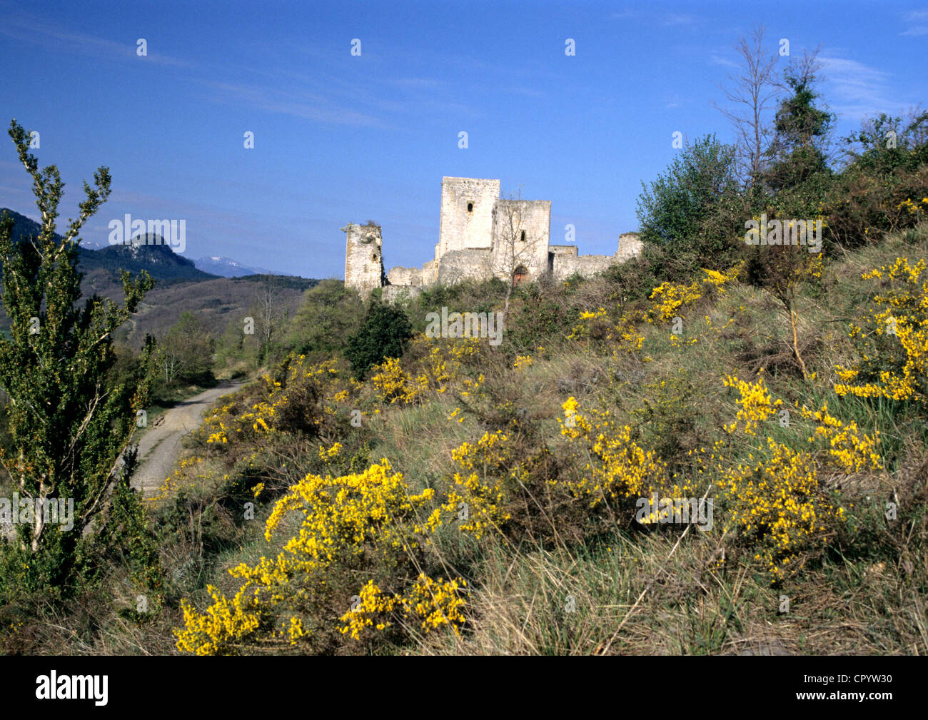 Francia, Aude, Chateau de Puivert, XII secolo il castello cataro Foto Stock