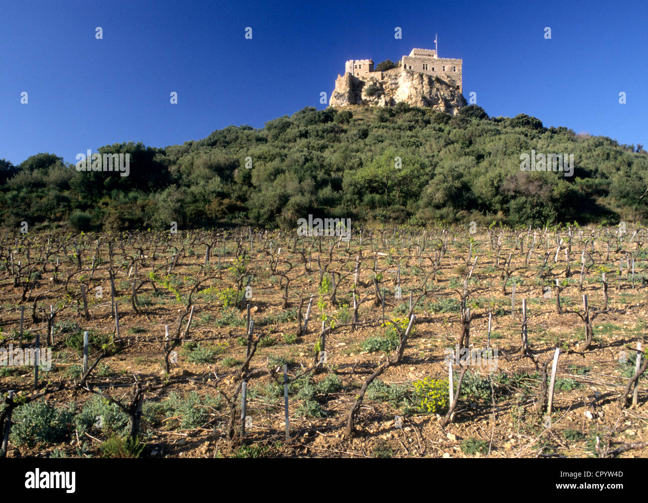 Francia, Aude, Toques, Chateau de Saint Martin Foto Stock