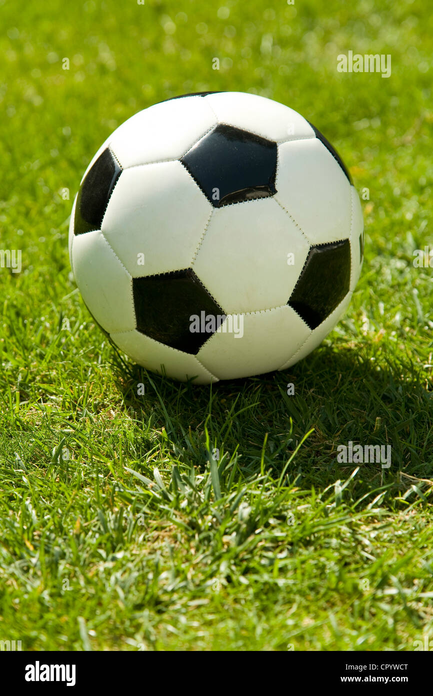 Calcio su un prato verde Foto Stock