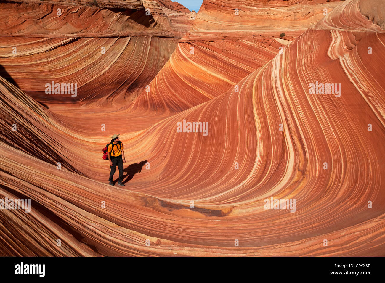 Formazioni di arenaria, coyote buttes north, vermilion cliffs wilderness, pagina, Arizona, Stati Uniti d'America, America Foto Stock