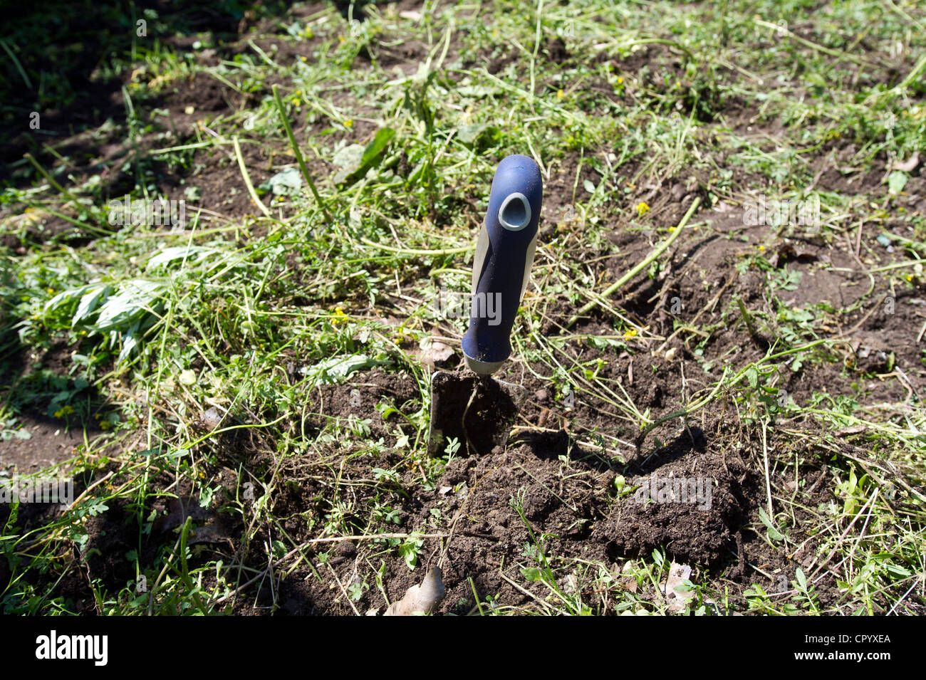Volontari cancellare le erbacce per rendere un giardino per i bambini della scuola in una scuola di Newark, NJ Foto Stock