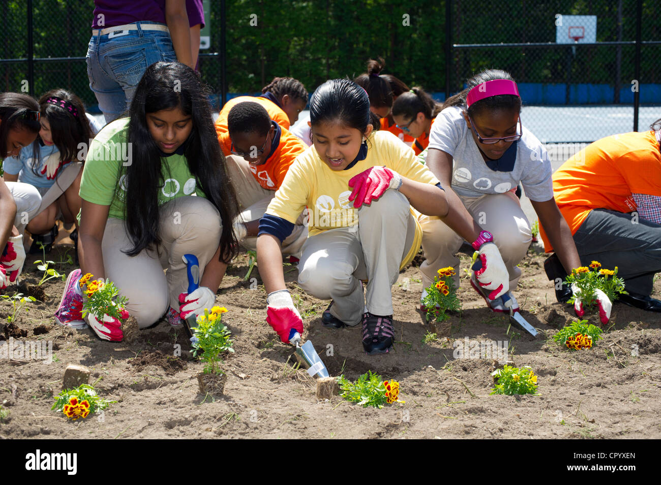 Sesta livellatrici impianto di ortaggi e fiori in un giardino per i bambini della scuola in una scuola di Newark NJ Foto Stock