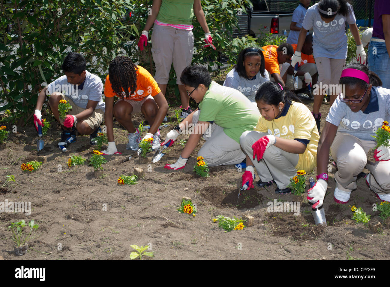 Sesta livellatrici impianto di ortaggi e fiori in un giardino per i bambini della scuola in una scuola di Newark NJ Foto Stock