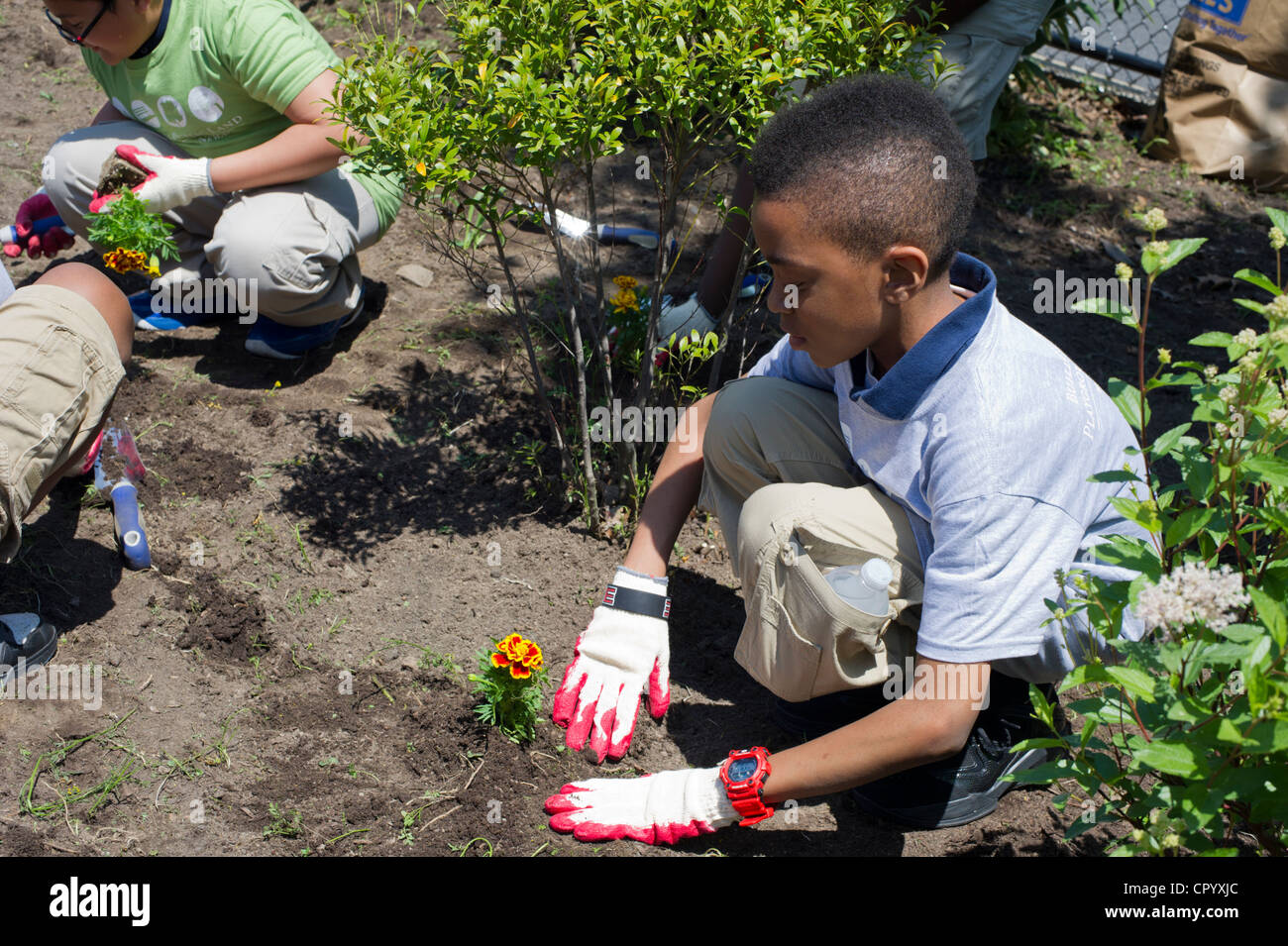 Sesta livellatrici impianto di ortaggi e fiori in un giardino per la scuola dei bambini di una scuola pubblica in Newark NJ Foto Stock