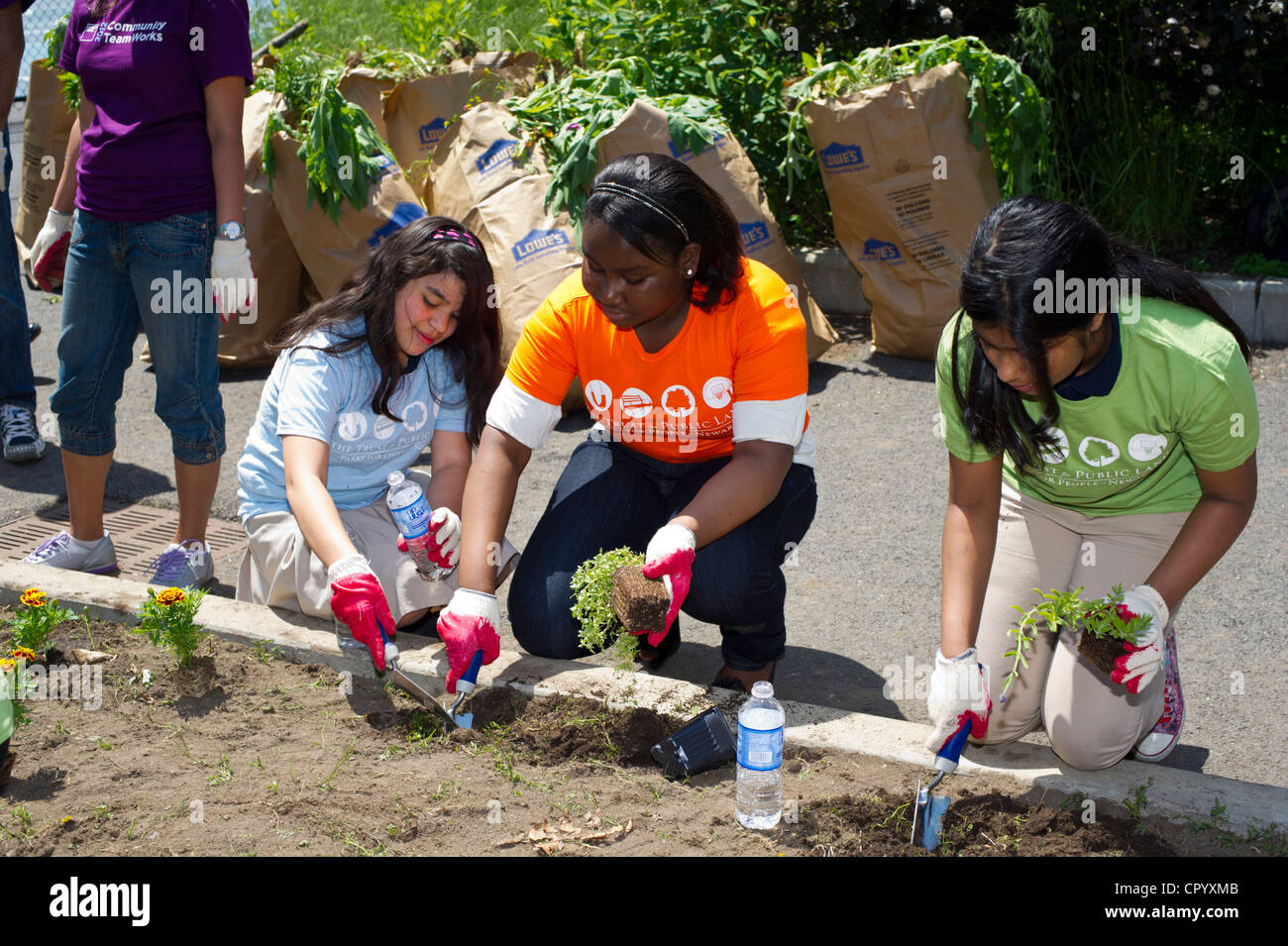 Sesta livellatrici impianto di ortaggi e fiori in un giardino per la scuola dei bambini di una scuola pubblica in Newark NJ Foto Stock