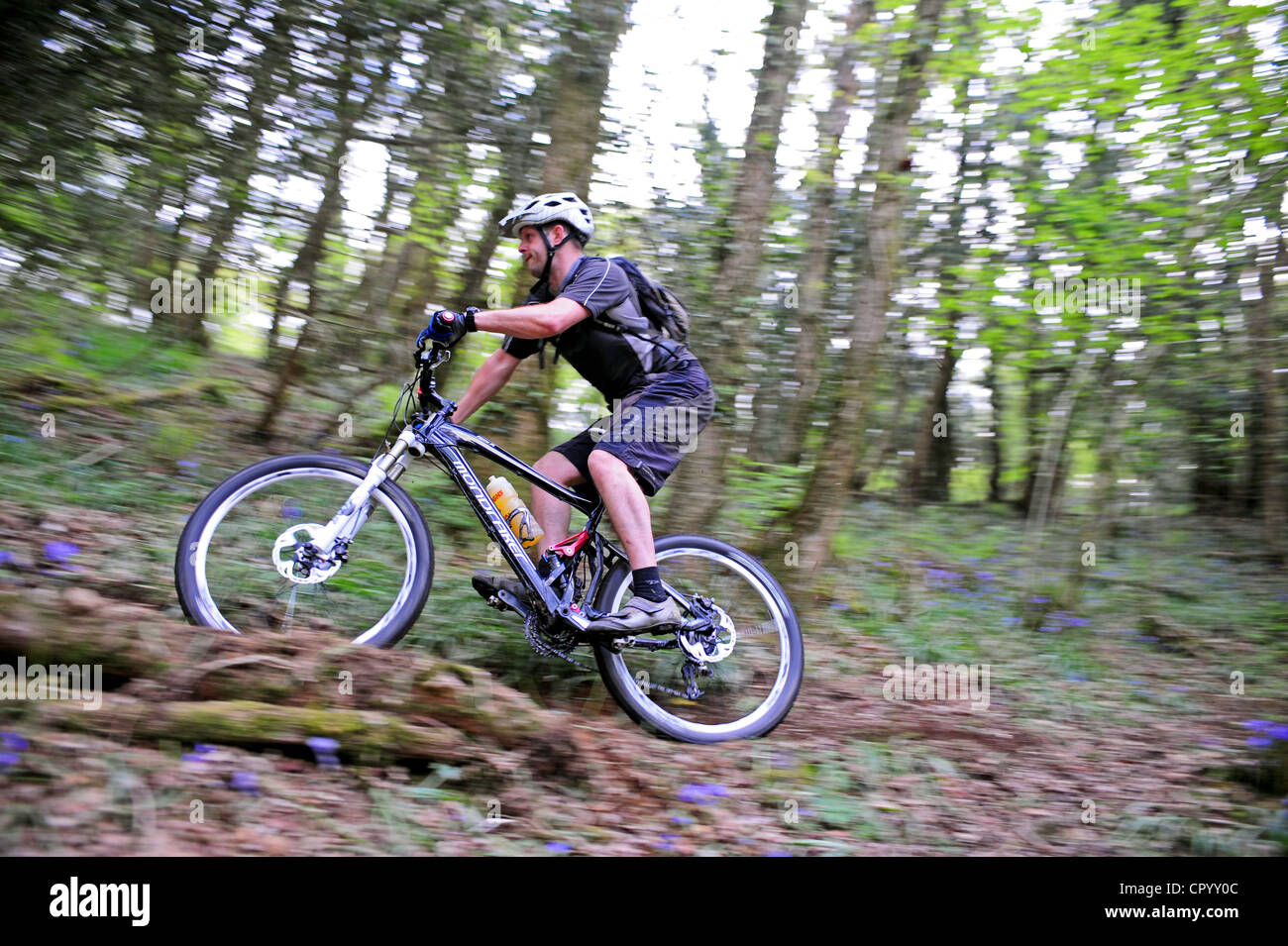 Mountain bike nei sentieri del bosco Foto Stock