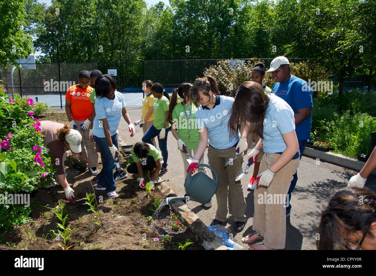 Ottavo livellatrici impianto di ortaggi e fiori in un giardino per la scuola di Newark NJ Foto Stock