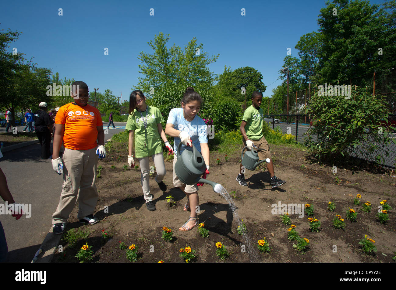 Ottavo livellatrici impianto di ortaggi e fiori in un giardino per la scuola di Newark NJ Foto Stock