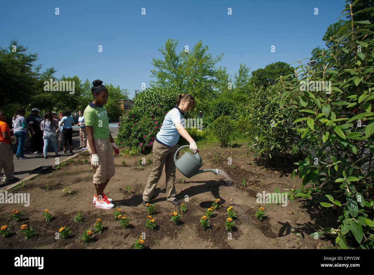 Ottavo livellatrici impianto di ortaggi e fiori in un giardino per la scuola di Newark NJ Foto Stock