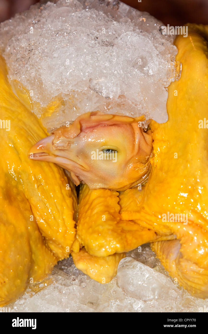 Pollo raffreddato con ghiaccio su un mercato thailandese, Thailandia, Sud-est asiatico, in Asia Foto Stock