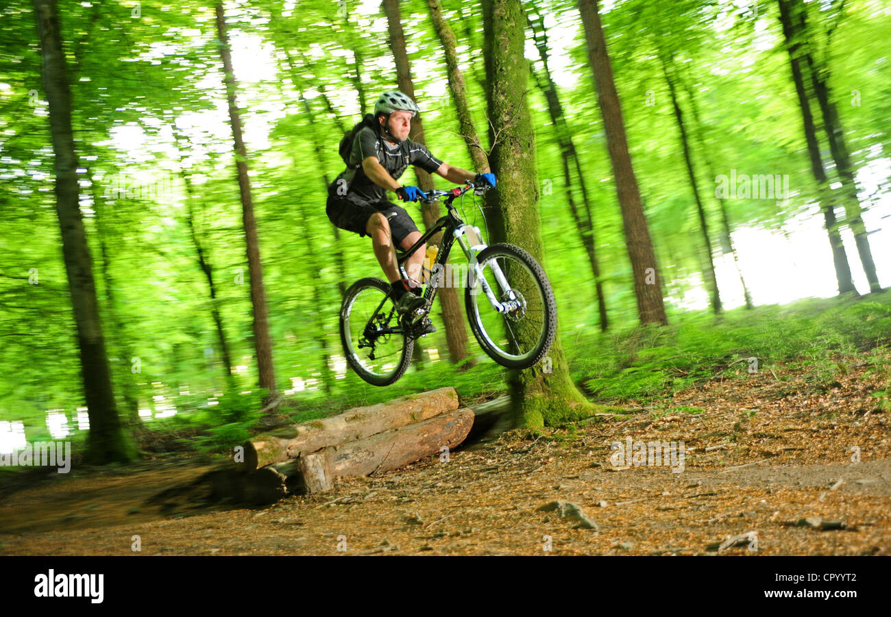 Mountain bike nei sentieri del bosco Foto Stock