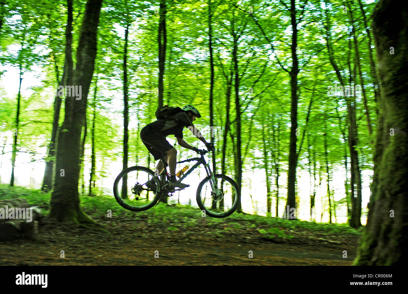 Mountain bike nei sentieri del bosco Foto Stock